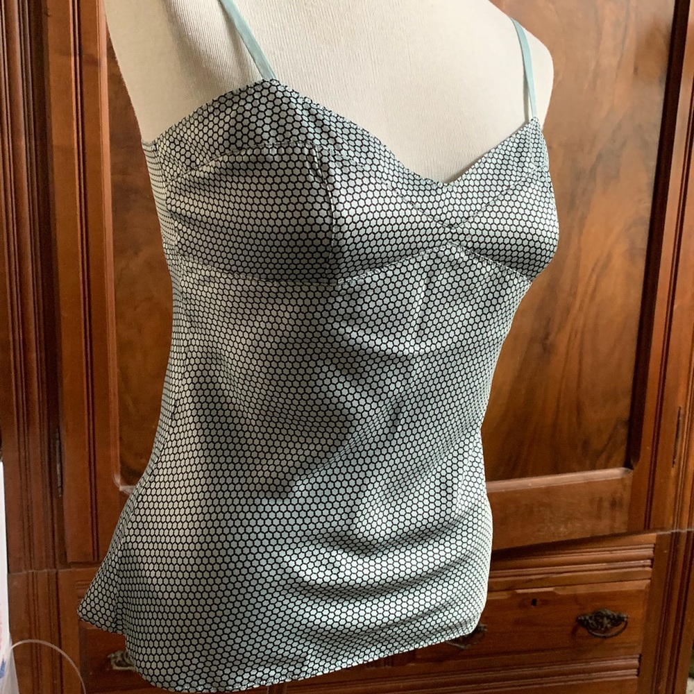 Express Design Studio Silk Camisole Tank Top